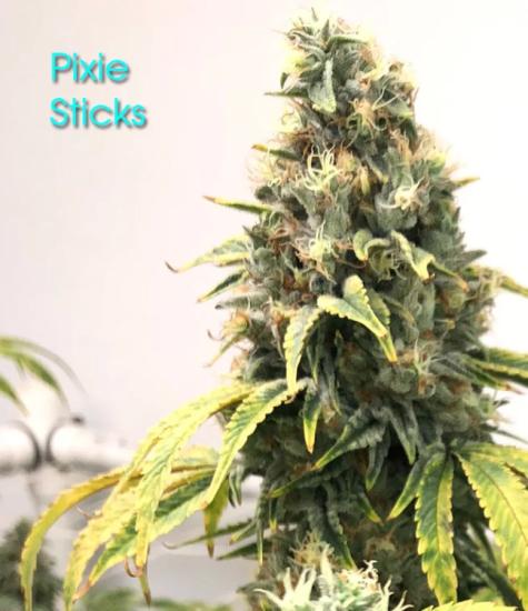 Pixie Sticks - Herblix