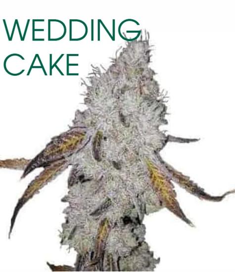 Wedding Cake - Herblix